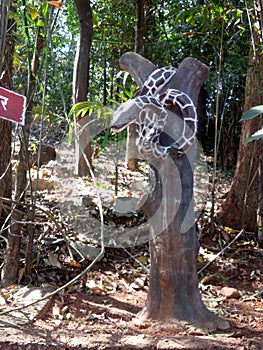 Snake in prachin kokan muziam in ganpatipule