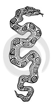 Snake, Python, boa 31