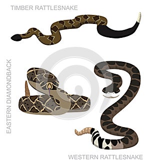 Snake Rattlesnake Set Cartoon Vector Illustration
