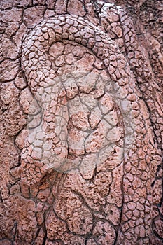 Snake Red Stone Carving