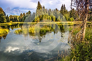 Snake River Jackson Hole With Reflections