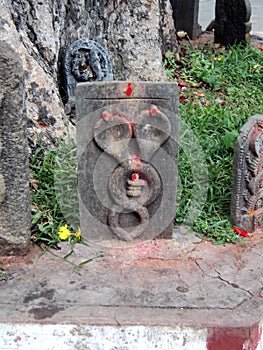 Snake scupture in stone by the sacred tree in India