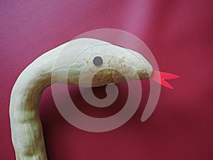 snake shaped pumpkin over bourdeaux red