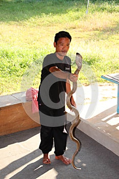 Snake show