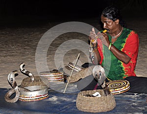 Snake show in Sri Lanka