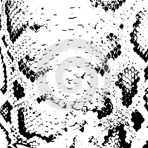 Snake skin abstract texture. black on white