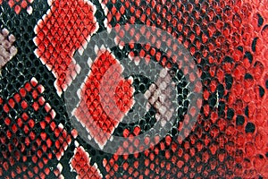 Snake skin background