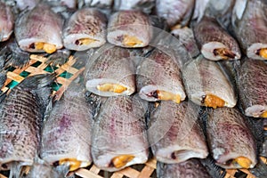 Snake Skin Gourami Fish called Pla Salit