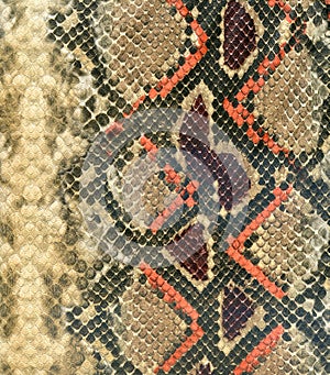 Snake skin leather textured reptile print. Pyton animal leather background. photo