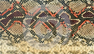 Snake skin leather textured reptile print. Pyton animal leather background. photo