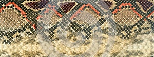 Snake skin leather textured reptile print. Pyton animal leather background.