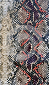 Snake skin leather textured reptile print. Pyton animal leather background.