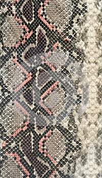 Snake skin leather textured reptile print. Pyton animal leather background.