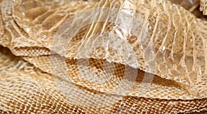 snake skin after moulting with the scales of many geometric figures