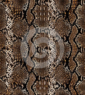 Snake skin pattern and repeating Seamless. Animal print and textile design. illustration. Texture snake. Fashionable print.