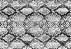 Snake skin pattern texture repeating seamless monochrome black & white. Vector