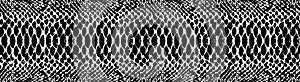 Snake skin pattern texture repeating seamless monochrome black & white. Vector. Texture snake. Fashionable print.