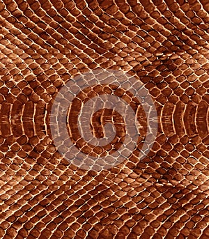 Snake skin pattern texture repeating seamless. Vector. Texture snake.