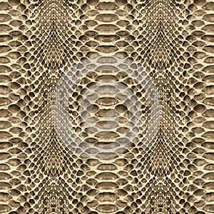 Snake skin pattern texture repeating seamless. Vector. Texture snake. Fashionable print. photo