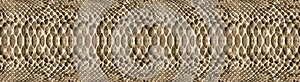 Snake skin pattern texture repeating seamless. Vector. Texture snake. Fashionable print. fashionable and stylish background.