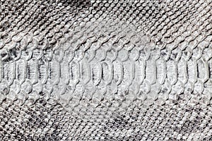 Snake skin pattern texture. Reptile leather. Python leather background.