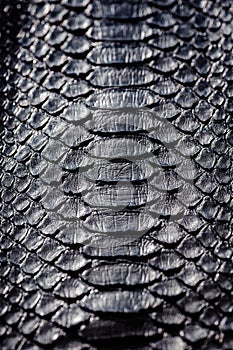 Snake skin pattern texture. Reptile leather. Python leather background.