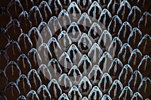 Snake skin, Snake molt