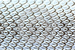 Snake skin, Snake molt