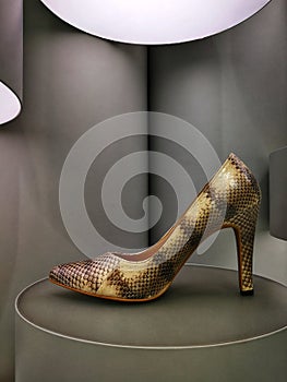 Snake skin stiletto on display