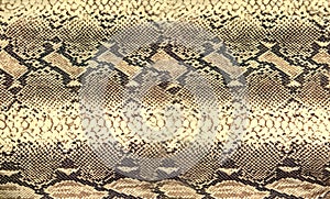 Snake skin texture. Reptile seamless background for design