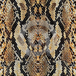 Snake skin texture seamless pattern colored