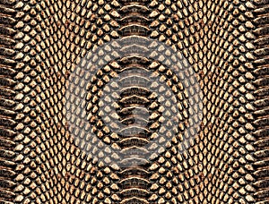 Snake skin texture. Texture snake. Fashionable print. python snake