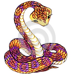 Snake. Snake watercolor.