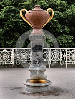 Snake Spring Fountain or No. 15 Hadi Pramen in Karlovy Vary, Czech Republic