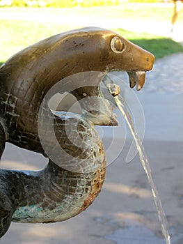 Snake spring, Karlovy Vary, Czech republic, Europe