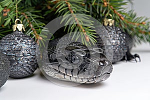 Snake a symbol of 2025 year with Christmas tree toy ball with fir branches on white background.