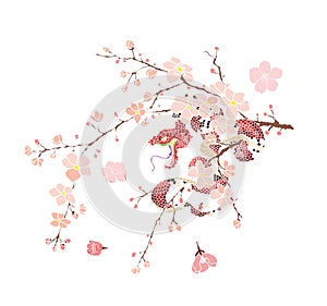 Snake tattoo and illustration design with Sakura branch