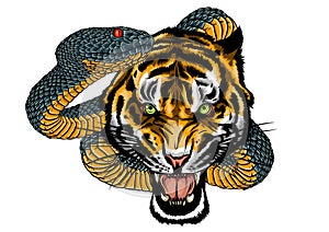 Snake and tiger fighting, tattoo vector illustration