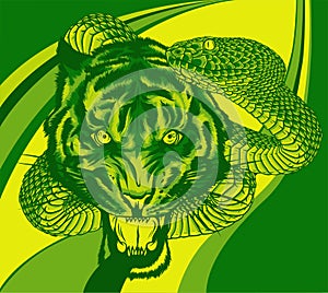 snake and tiger fighting, vector illustration art