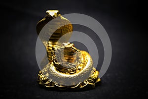 Snake and toad together as one figure on a black background