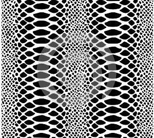 Snake vector black skin pattern texture.Snake skin background design.