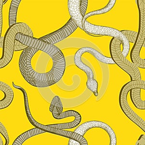 Snake vector pattern. kite on a bright yellow background. Sansevieria. Tropical animals