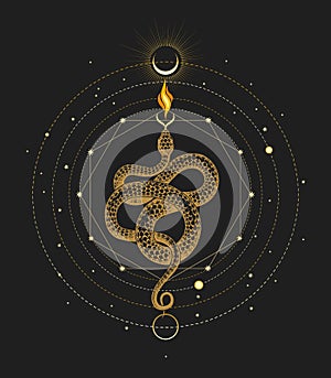 Snake of Wisdom and Sacred Geometry Esoteric Illustration