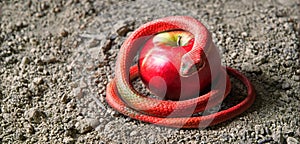 A snake wrapped around an apple as a symbol of temptation