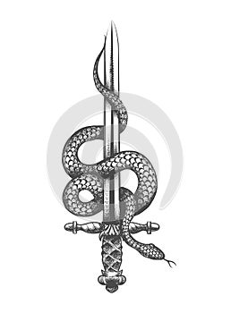 Snake Wrapped Around the Rising Sword Valor and Courage Symbol Tattoo photo