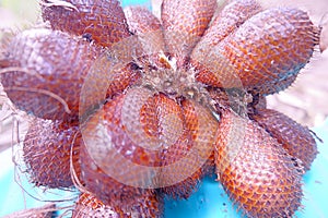 Snakefruit