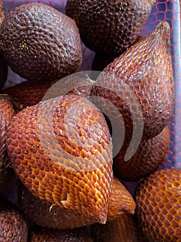 Snakefruit