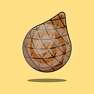 Snakefruit cartoon vector illustration.