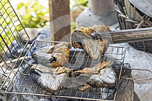 Snakehead fish is grilled over charcoal with steel tongs, a preservation of Thai food