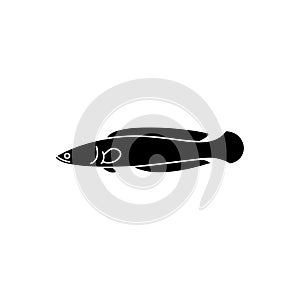 Snakehead fish icon vector illustration